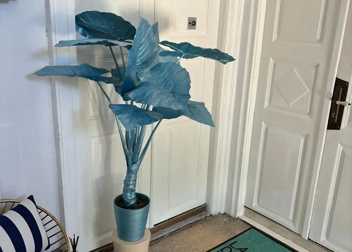 La Dolce In The Center With Private Parking Daire *